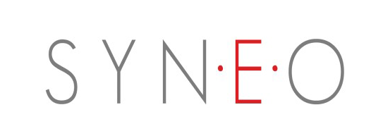 SYNEO LLC
